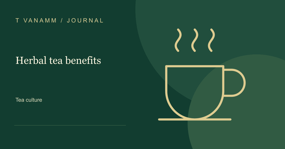 T VANAMM: Herbal tea benefits — editorial illustration