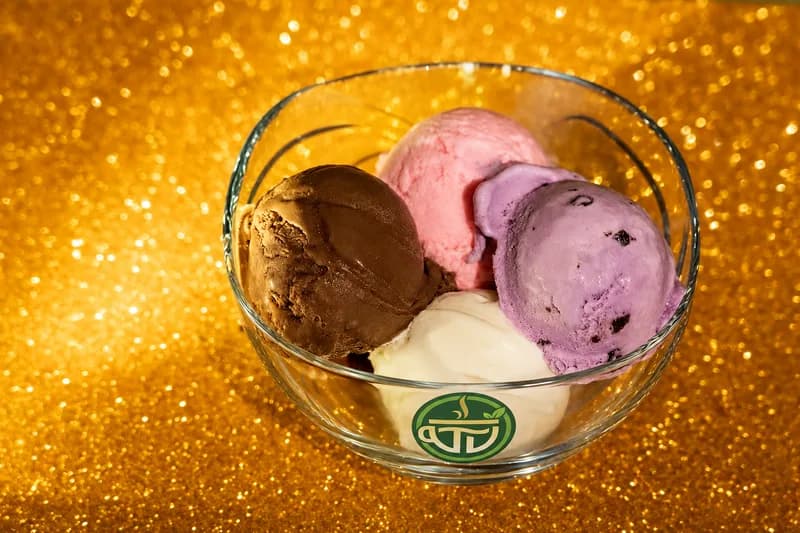 Ice cream scoops with T VANAMM branding